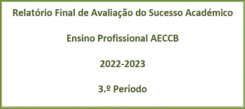 Avaliação do Sucesso Académico dos Cursos Profissionais